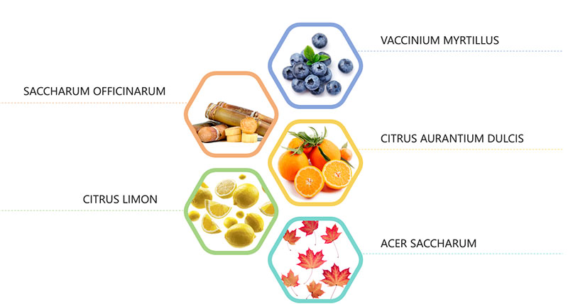 balancing gel moisturizer