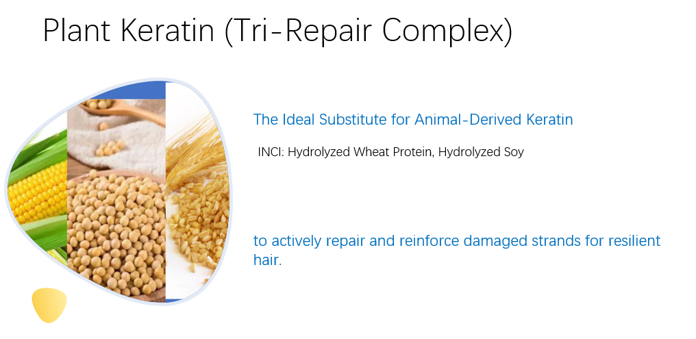 Multi-Protein Repair hair spray